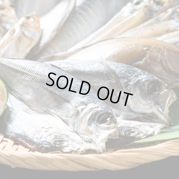 画像2: 日本海の幸を堪能 干物セット6種( カマス・アジ・ハタハタ・サバ・メギス・カレイ) (2)