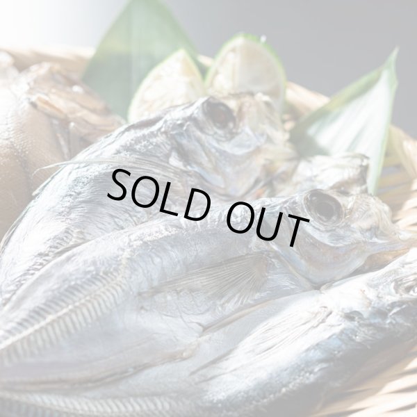 画像3: 日本海の幸を堪能 干物セット6種( カマス・アジ・ハタハタ・サバ・メギス・カレイ) (3)